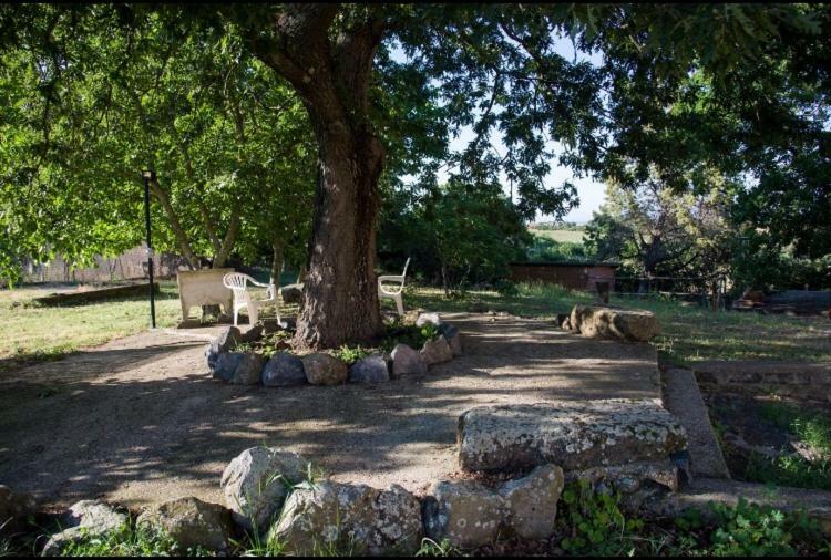 Favoloso Appartamento In Villa Monterosi ภายนอก รูปภาพ