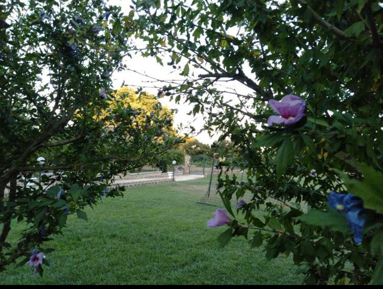 Favoloso Appartamento In Villa Monterosi ภายนอก รูปภาพ