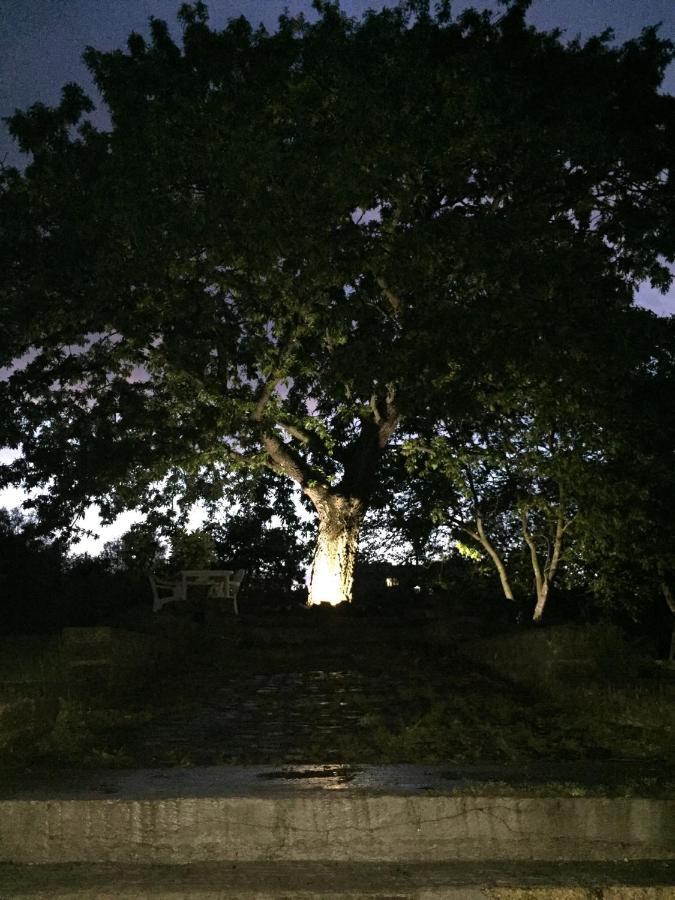 Favoloso Appartamento In Villa Monterosi ภายนอก รูปภาพ