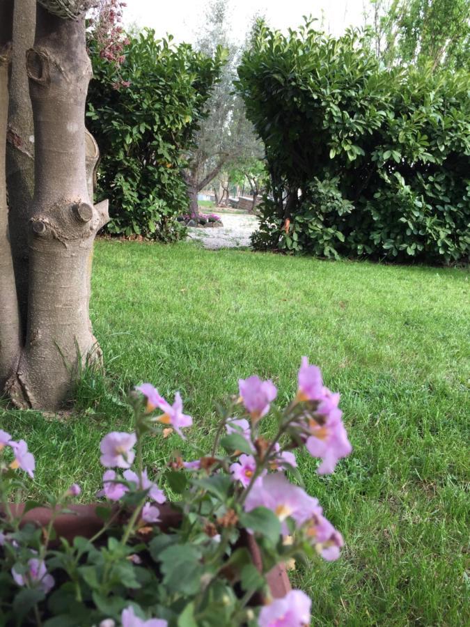 Favoloso Appartamento In Villa Monterosi ภายนอก รูปภาพ